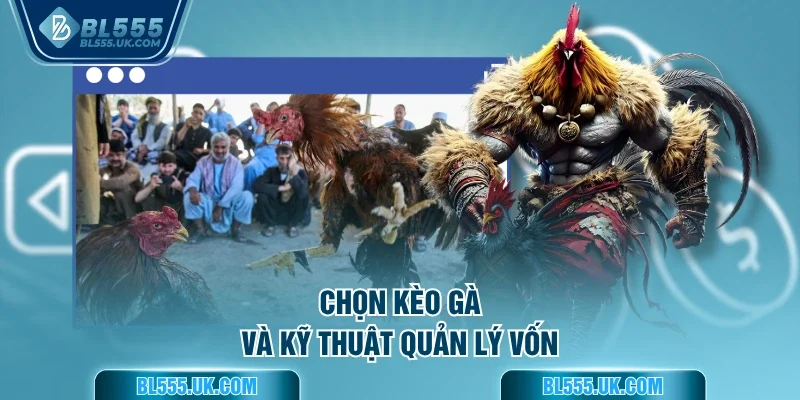 Chọn kèo gà và kỹ thuật quản lý vốn
